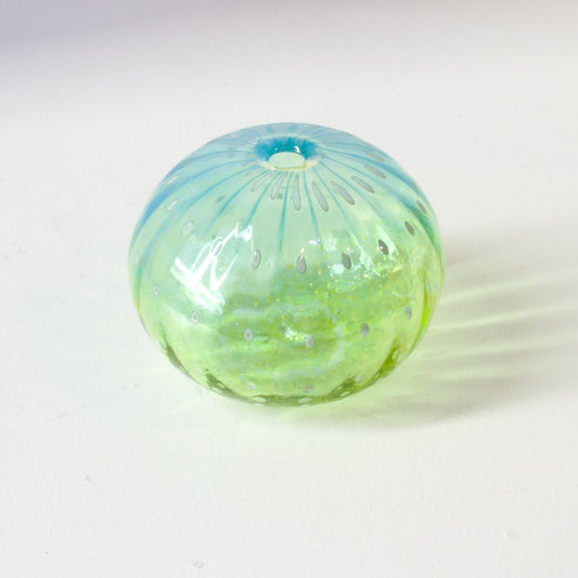 CJ204: Urchin aqua/green