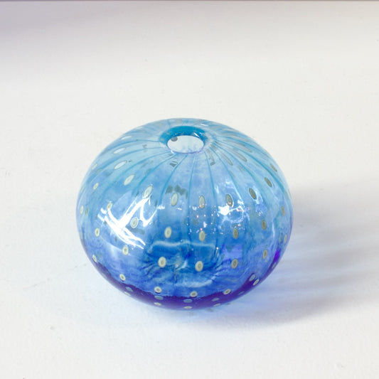 CJ206: Urchin aqua/blue