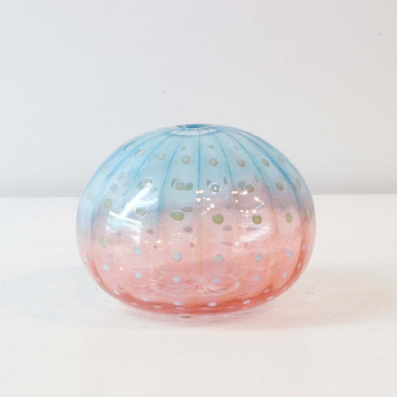 CJ220: Urchin - blue/pink