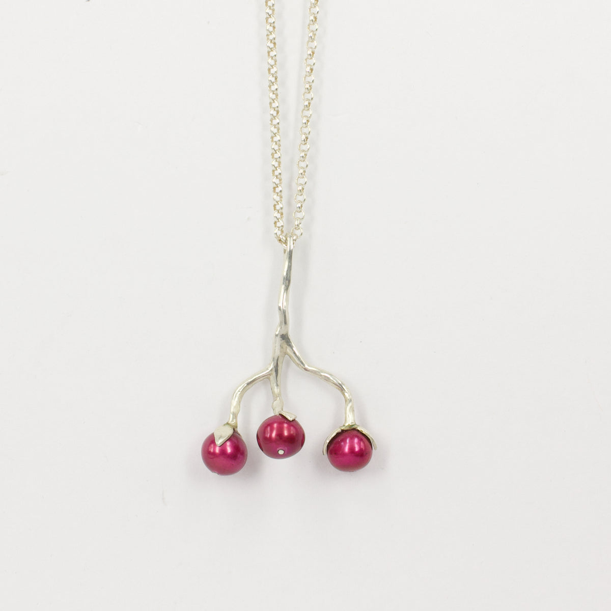 DH228: Fruiting branch
