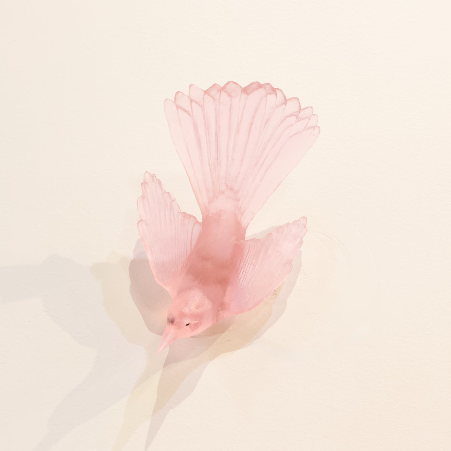 LJ: Fantail/Pīwakawaka - pink