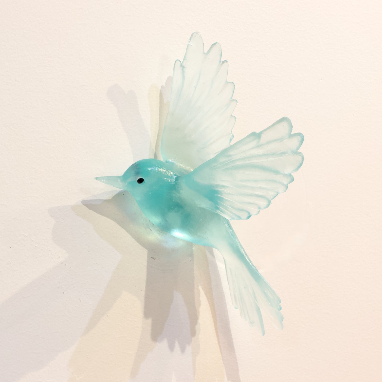LJ: Fernbird/Mātātā - lake blue
