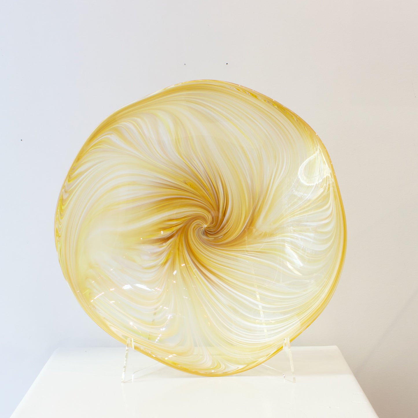 JCU360: Mohua feather platter