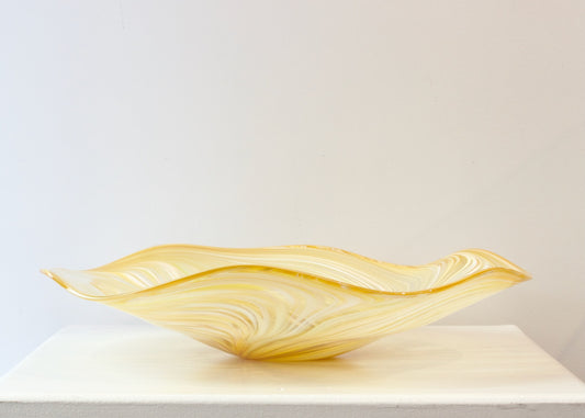 JCU360: Mohua feather platter