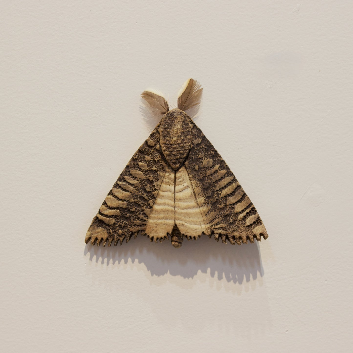 JW06: Moth