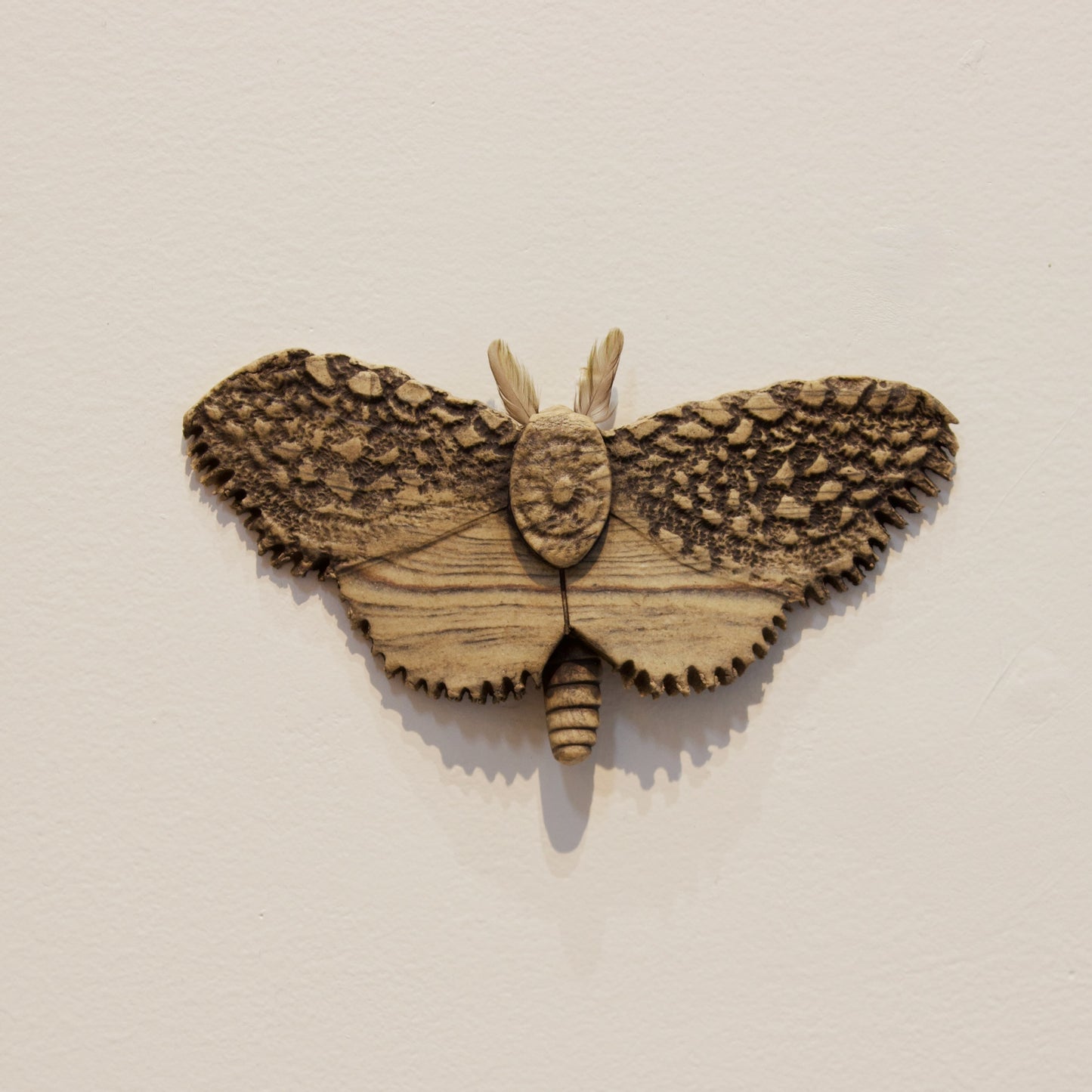JW07: Moth
