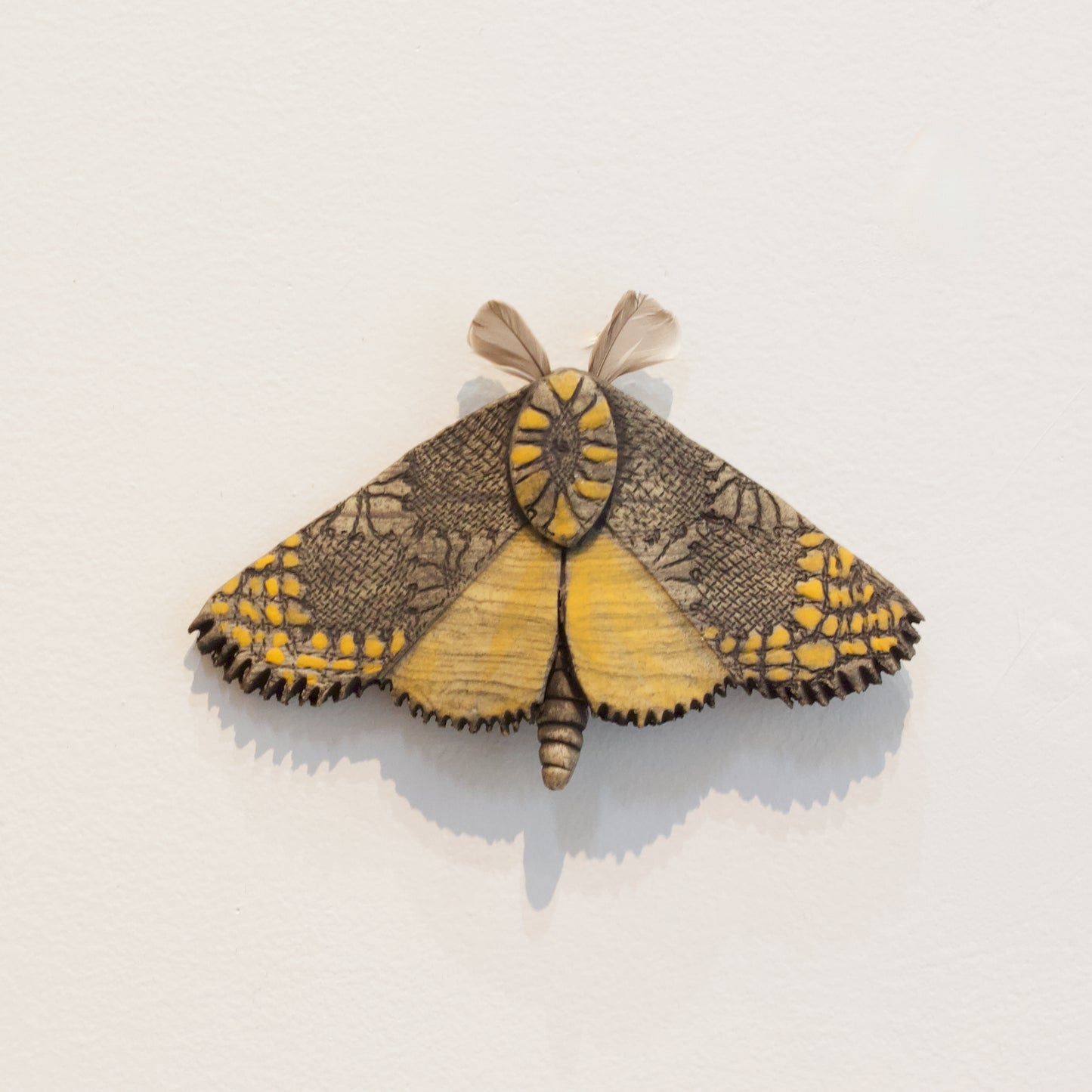 JW76: Moth