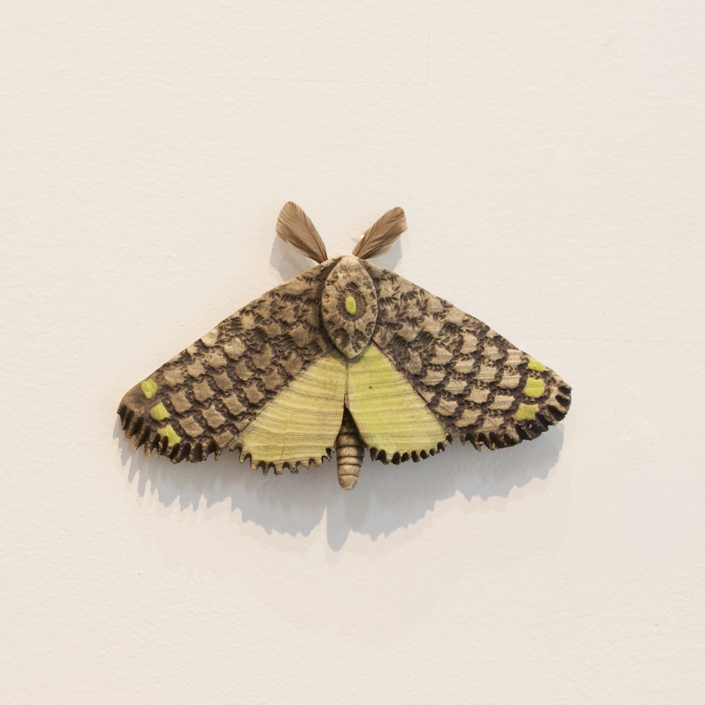 JW77: Moth