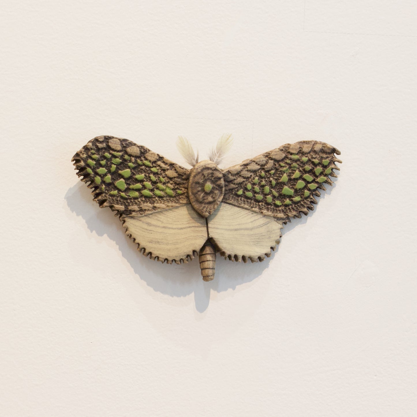 JW78: Moth