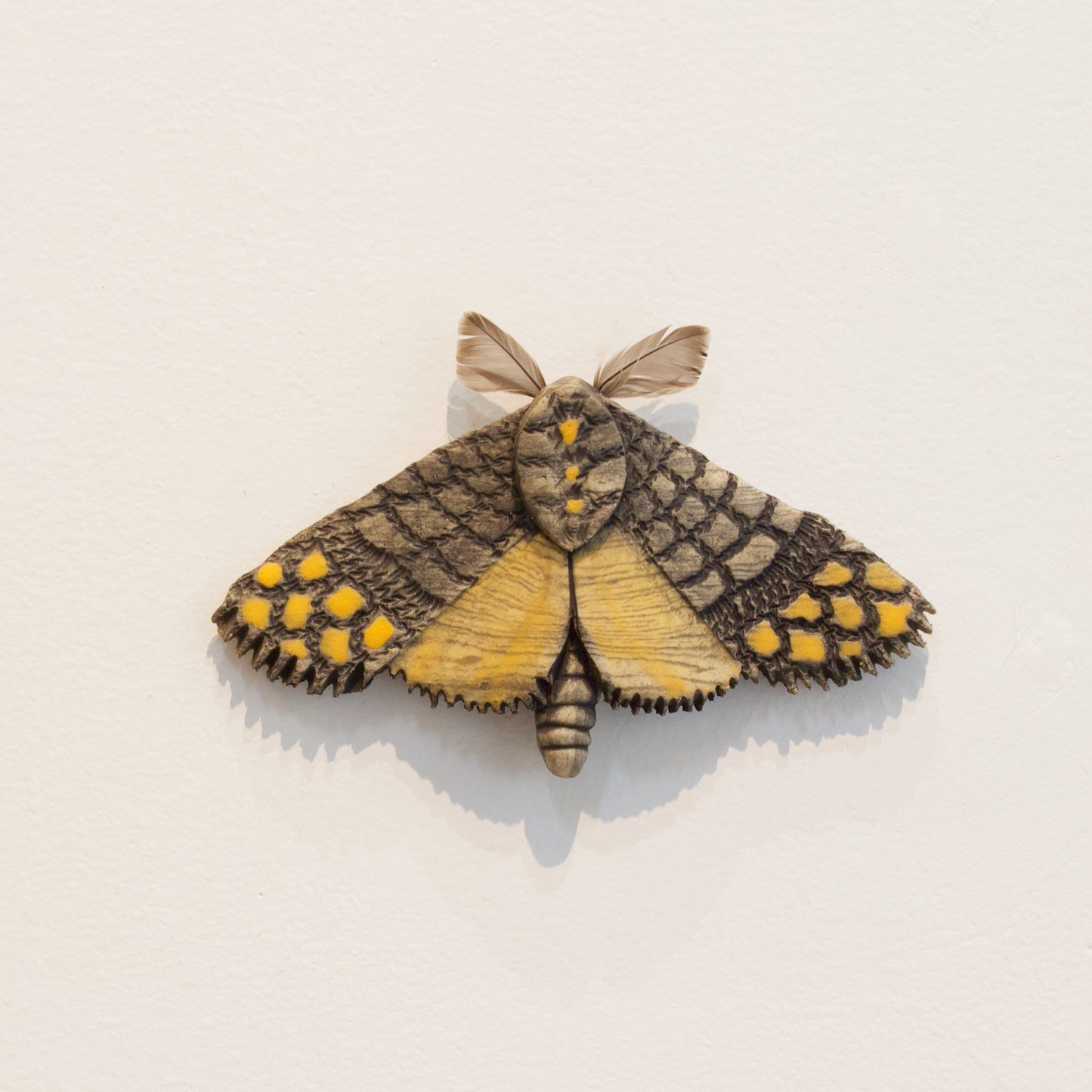 JW79: Moth