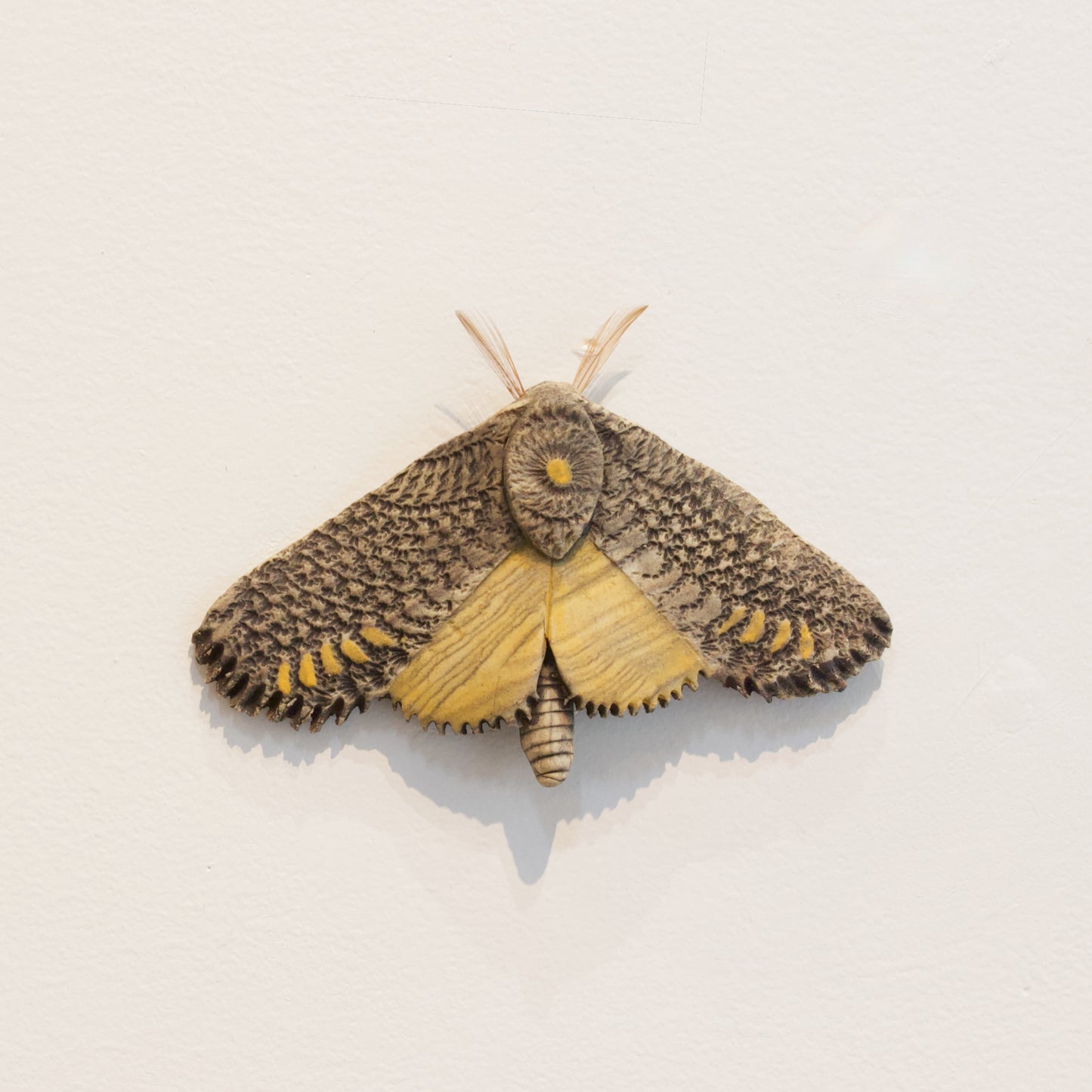 JW80: Moth