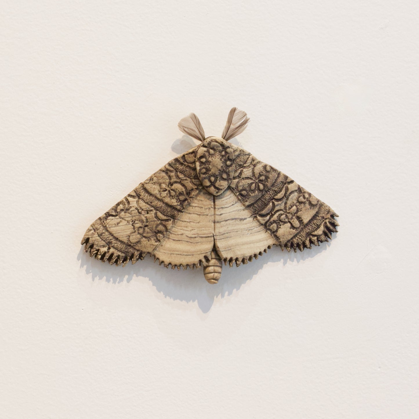 JW81: Moth