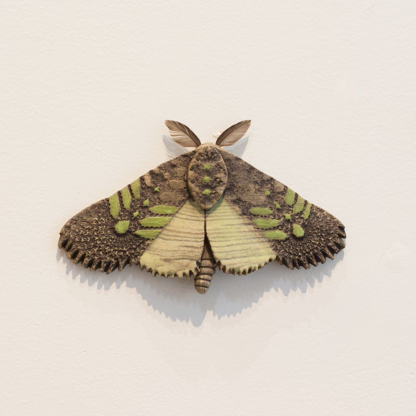 JW84: Moth