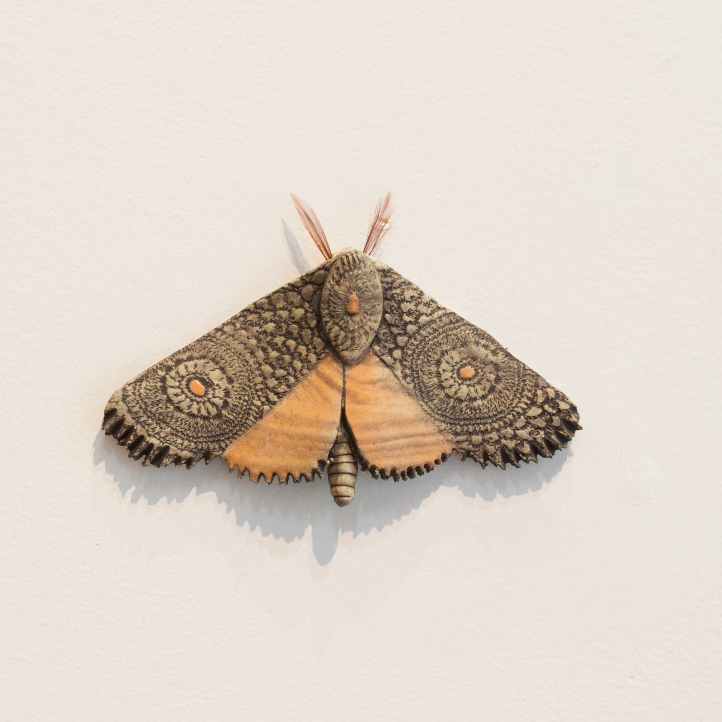 JW86: Moth