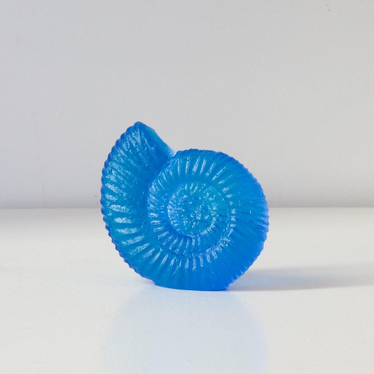 RH450A: Ammonite - aqua