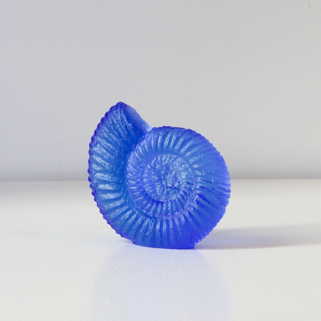 RH451A: Ammonite - mid blue