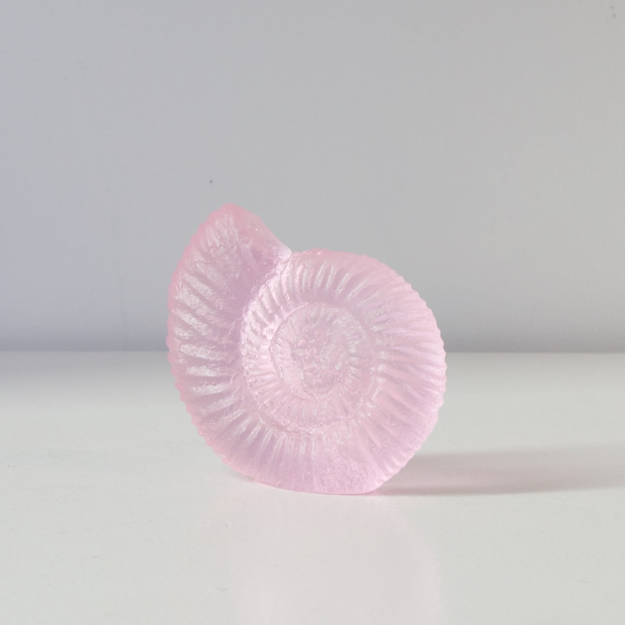 RH457A: Ammonite - pink
