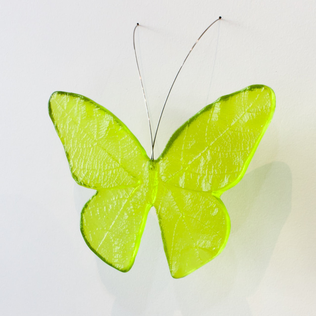 LJ: Monarch butterfly - assorted colours, please enquire