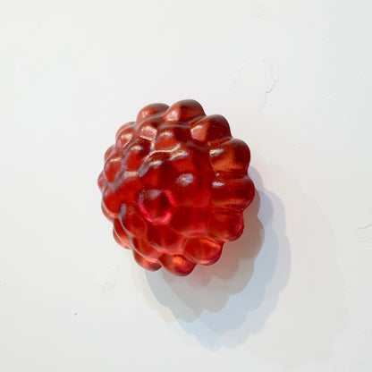 SW: Raspberry