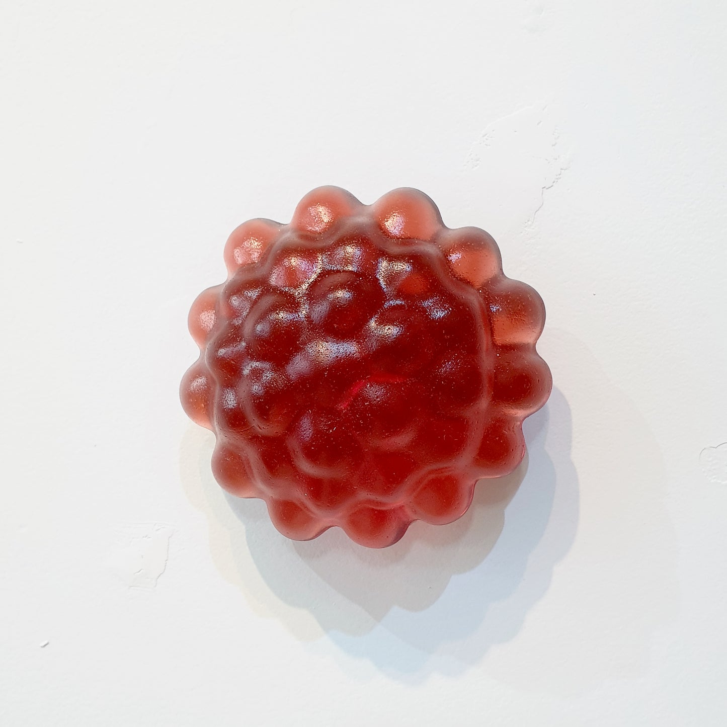 SW: Raspberry