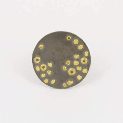 FS256: Unknown constellation ring