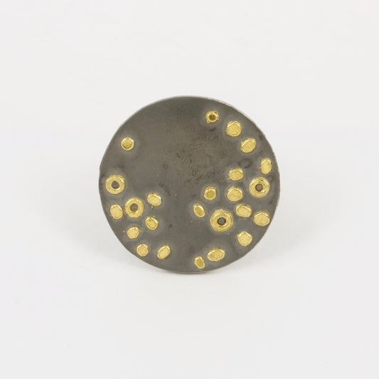 FS256: Unknown constellation ring