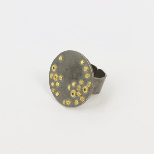FS256: Unknown constellation ring