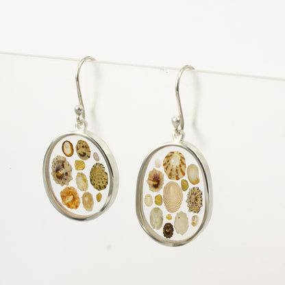 ACT514: Otago gold nugget and Catlins limpet shell earrings