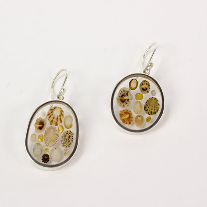 ACT514: Otago gold nugget and Catlins limpet shell earrings