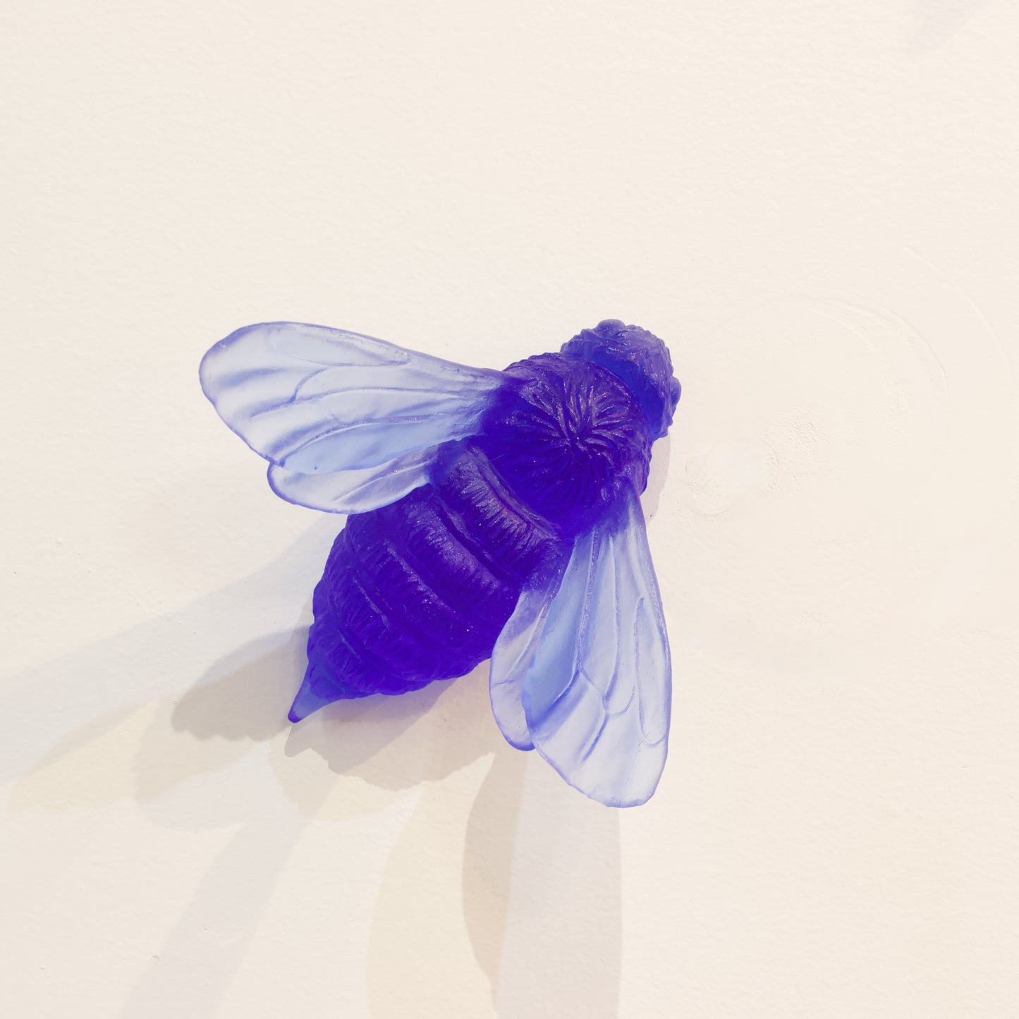 LJ: Bee - cobalt blue