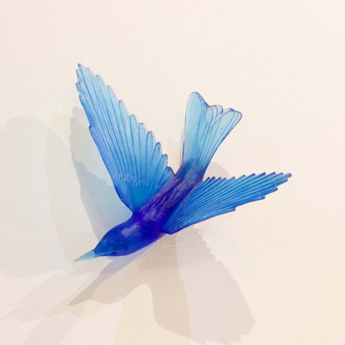 LJ: Bellbird/Korimako - aquamarine blue
