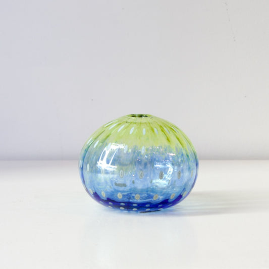 CJ203: Urchin green/blue