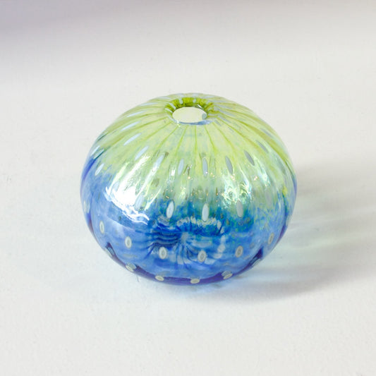 CJ203: Urchin green/blue
