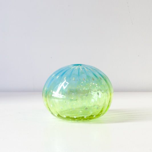 CJ204: Urchin aqua/green