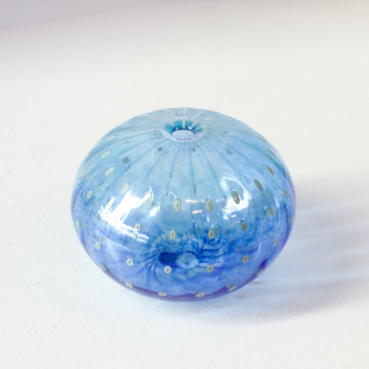 CJ205: Urchin aqua/blue