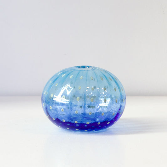 CJ206: Urchin aqua/blue