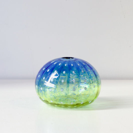 CJ208: Urchin blue/green