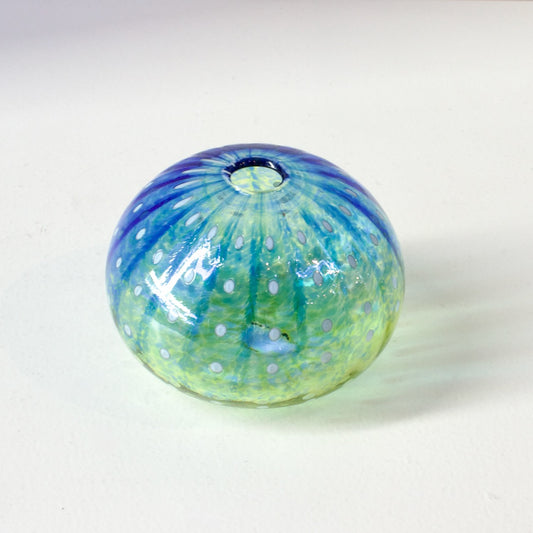 CJ208: Urchin blue/green