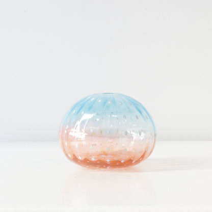 CJ222: Urchin - blue/pink