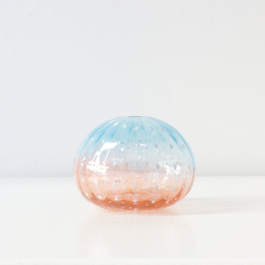 CJ222: Urchin - blue/pink