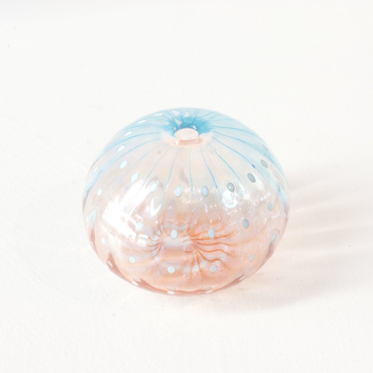 CJ222: Urchin - blue/pink