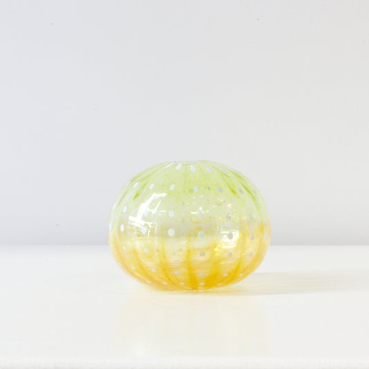 CJ223: Urchin - green/yellow