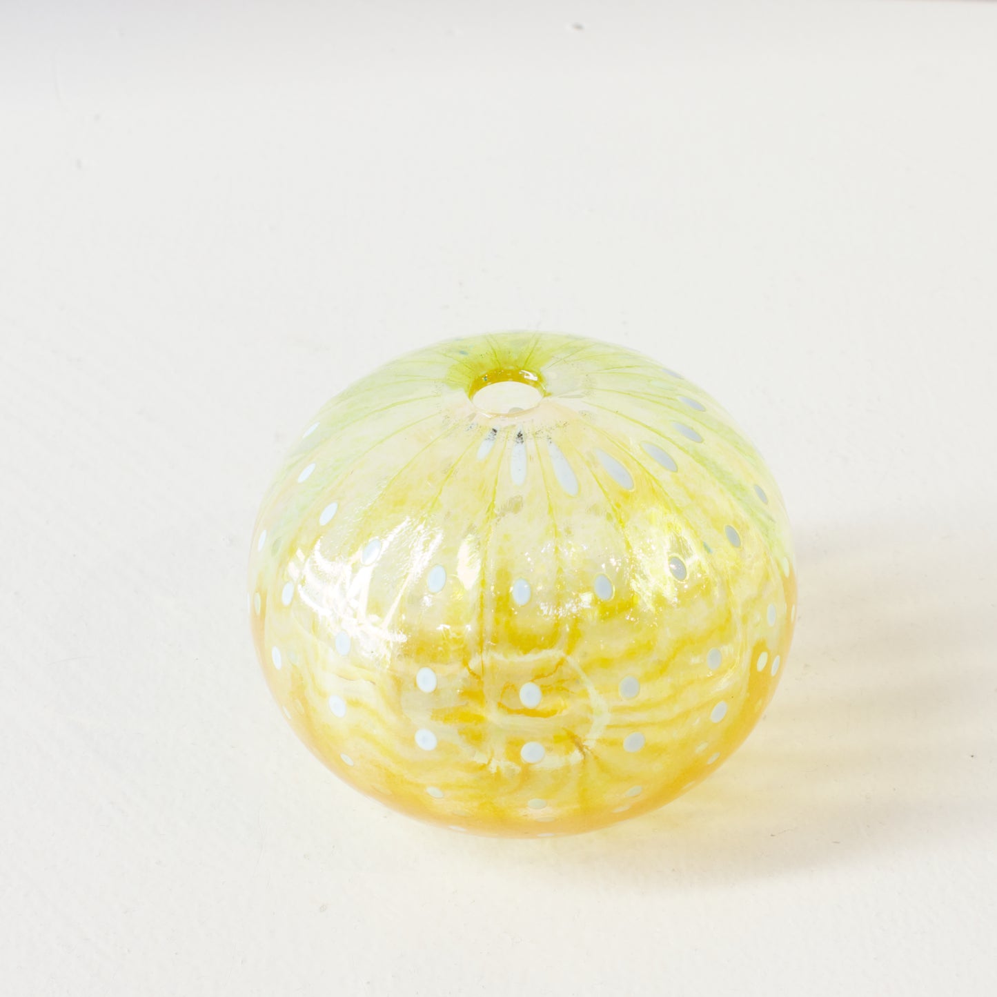 CJ223: Urchin - green/yellow