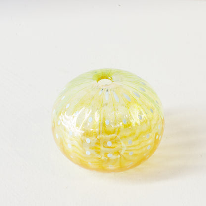 CJ223: Urchin - green/yellow