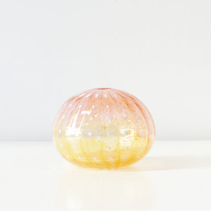CJ224: Urchin - pink/yellow