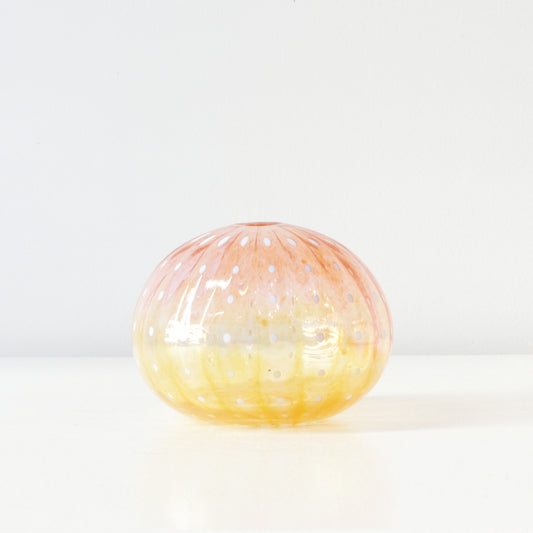 CJ224: Urchin - pink/yellow