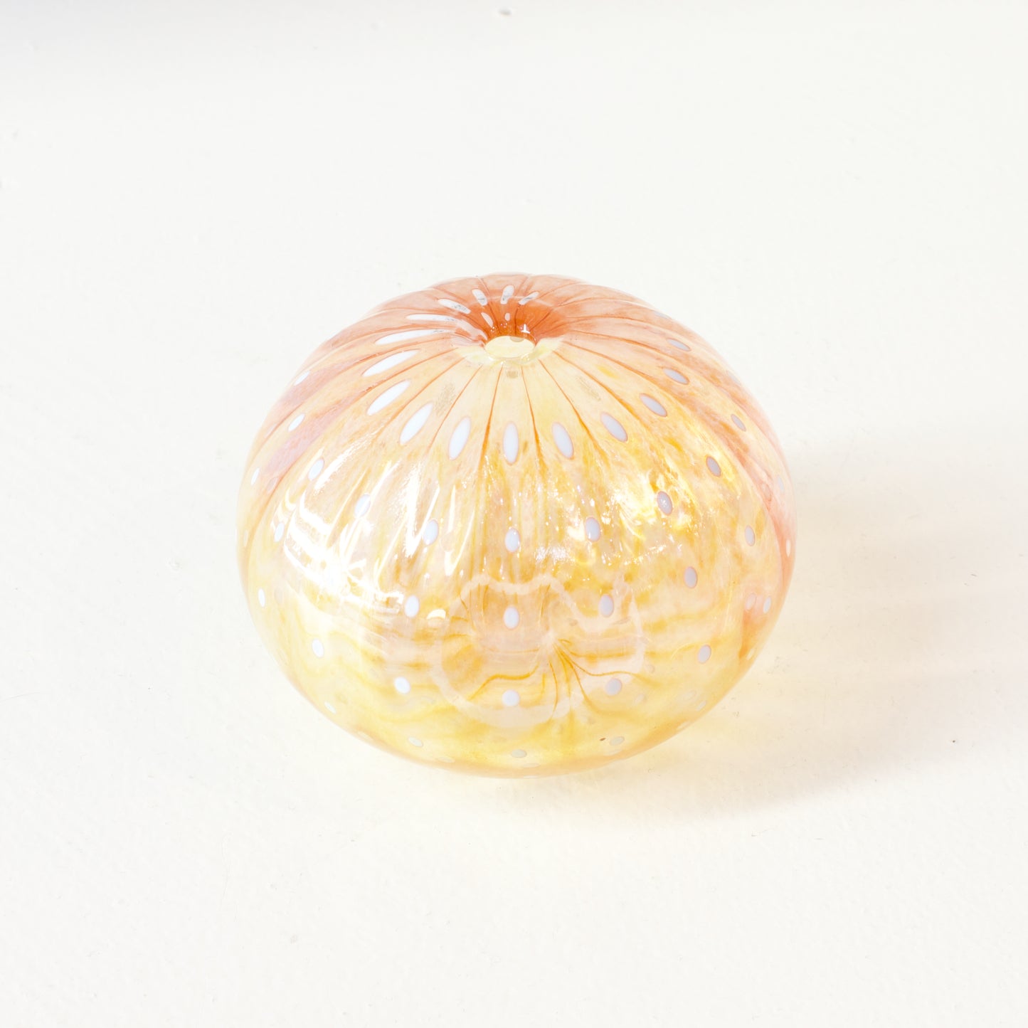 CJ224: Urchin - pink/yellow