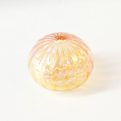 CJ224: Urchin - pink/yellow