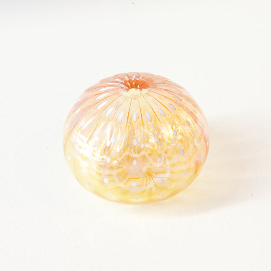 CJ224: Urchin - pink/yellow