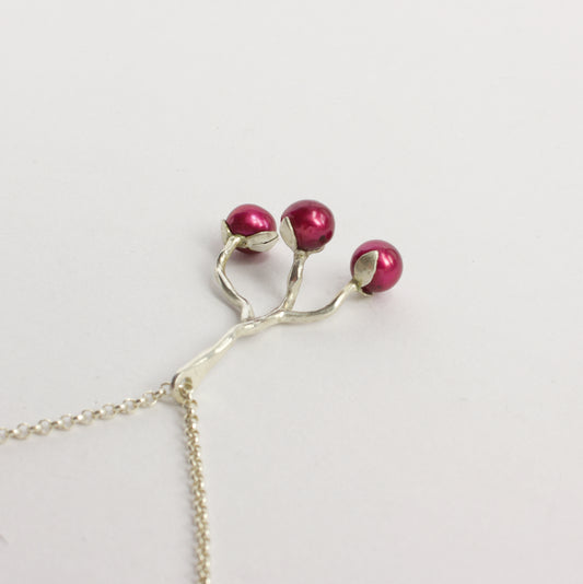 DH228: Fruiting branch
